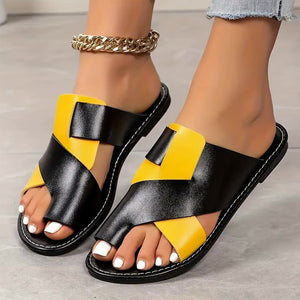 Black / Yellow